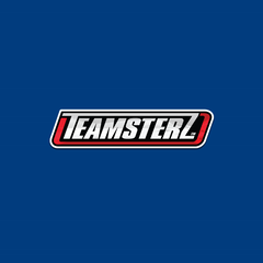 Collection image for: Teamsterz